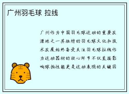广州羽毛球 拉线
