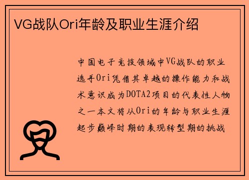 VG战队Ori年龄及职业生涯介绍