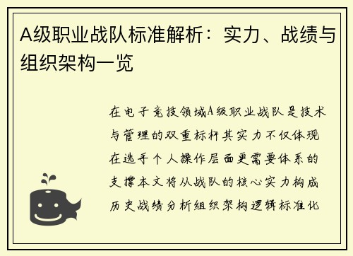 A级职业战队标准解析：实力、战绩与组织架构一览
